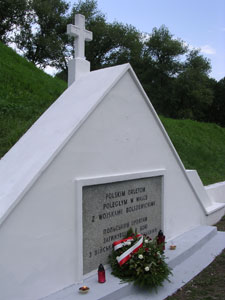 POWIKSZENIE ZDJCIA W FORMACIE djvu